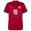 Maglia ufficiale Serbia Vlahovic 18 Casa Euro 2024 per Uomo